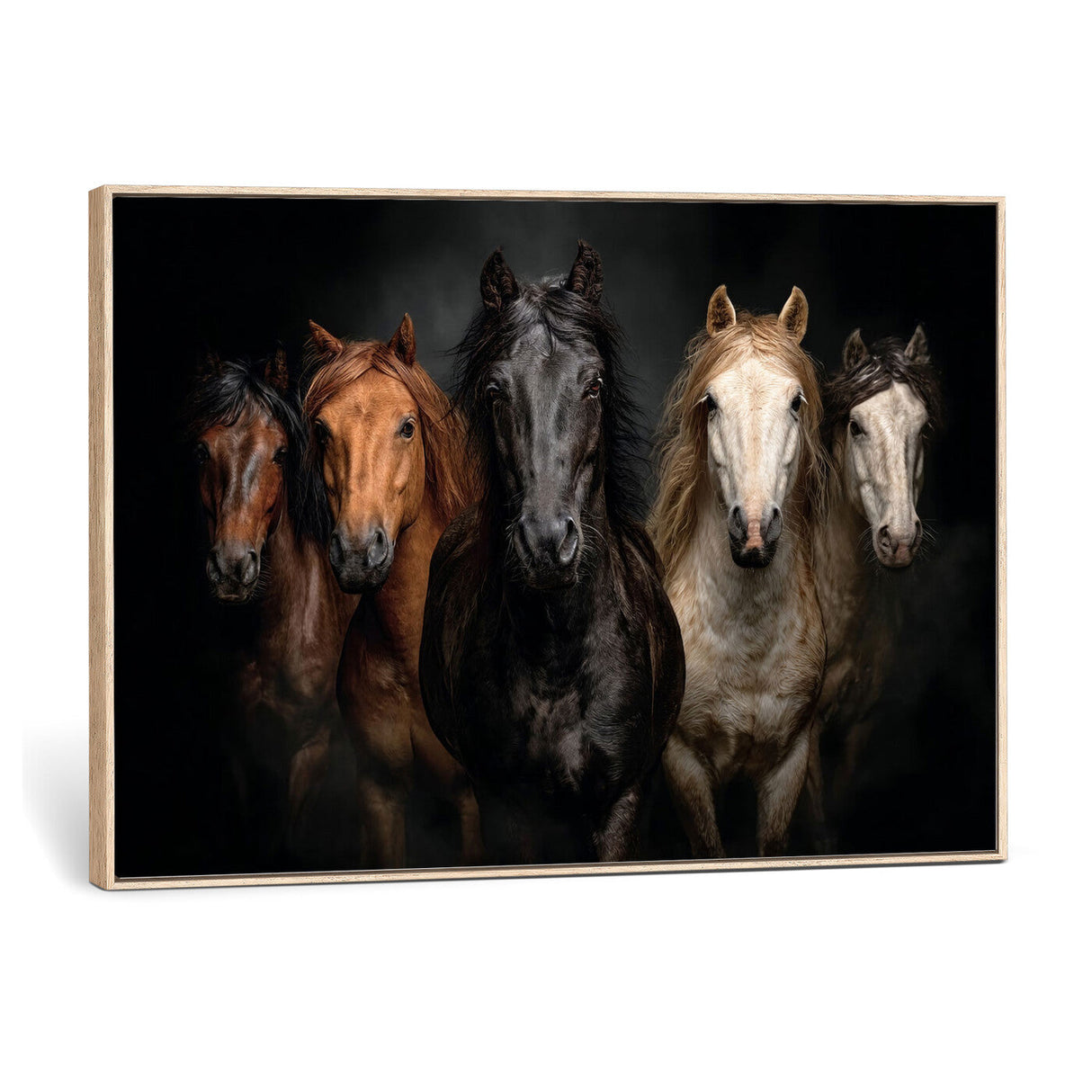 Horse Wall Art Canvas Print, Wild Horses Portrait Photography, Dramatic Equestrian Decor, Black Brown White Horse Herd, Rustic Ranch Art