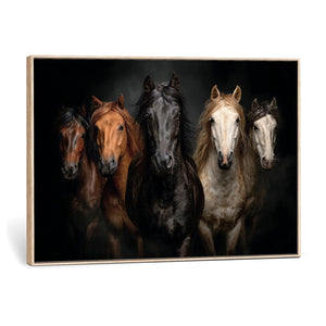Horse Wall Art Canvas Print, Wild Horses Portrait Photography, Dramatic Equestrian Decor, Black Brown White Horse Herd, Rustic Ranch Art