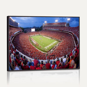 Dooley Stadium Wall Art, Sports Arena Canvas Print, Dooley