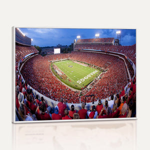 Dooley Stadium Wall Art, Sports Arena Canvas Print, Dooley