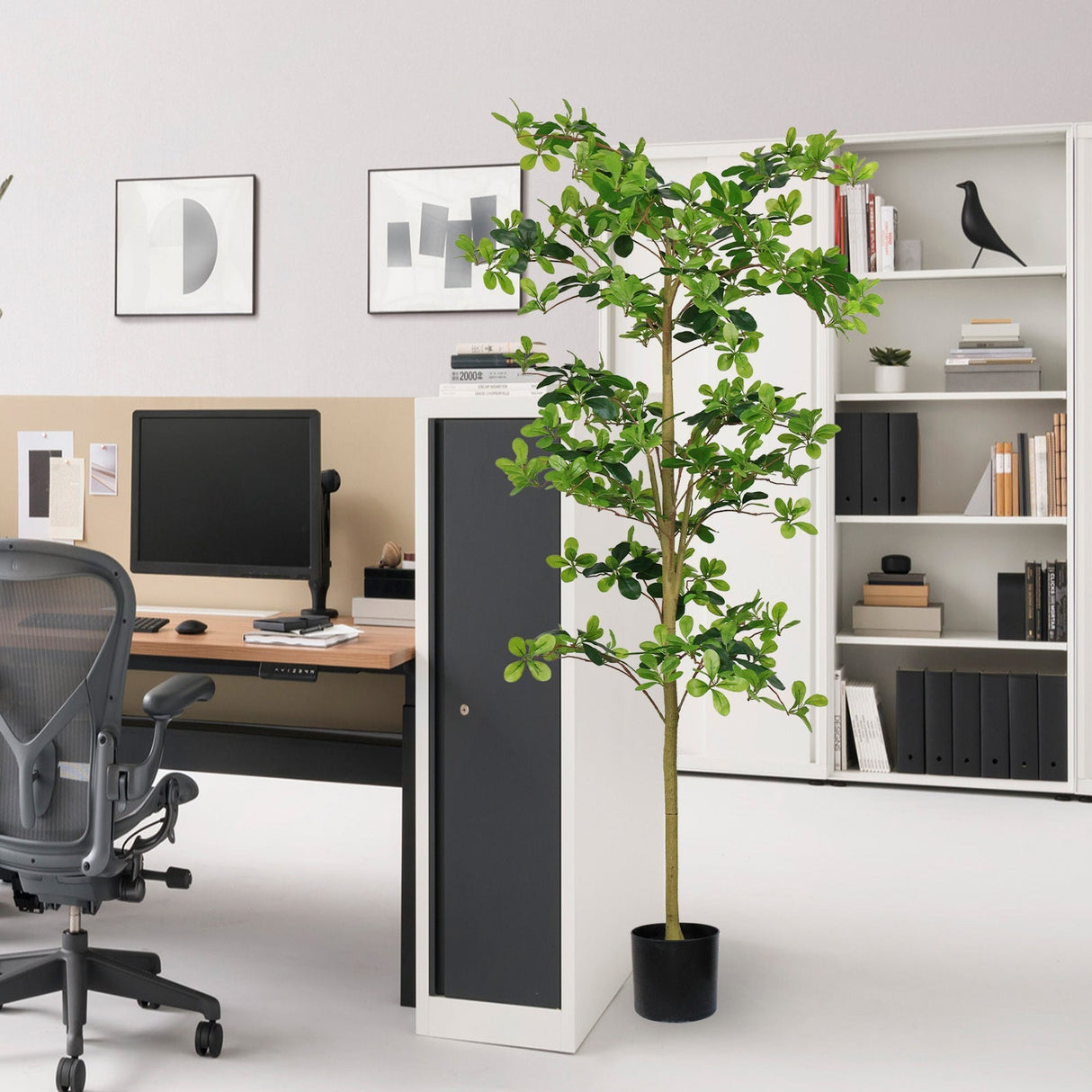 6FT Tall Artificial Tree, Fake Polyscias Fruticosa Plant for Indoor Decor