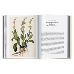 Leonhart Fuchs. The New Herbal (German, French, English)