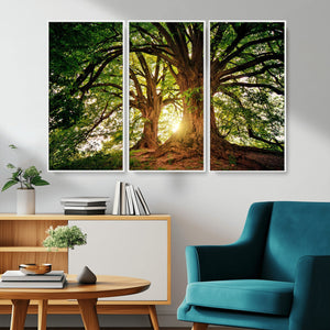 Majestic Ancient Tree Wall Art, NatureCanvas Print, Woodland