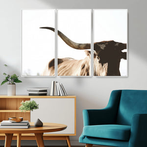 Texas Longhorn Wall Art Canvas Print | 3-Panel Large