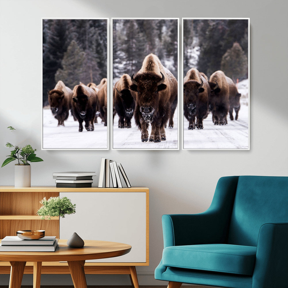 Bison Wall Art Canvas Print- Bison Herd Canvas Wall Art –