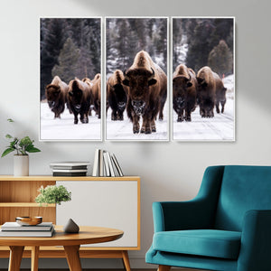 Bison Wall Art Canvas Print- Bison Herd Canvas Wall Art –