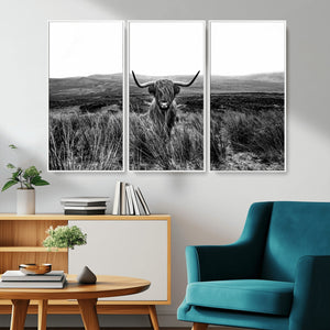 Black and White Highland Cow Canvas Wall Art, Longhorn
