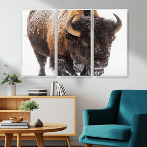 Bison Wall Art Canvas Print For Farmhouse, Wild Animal Wall