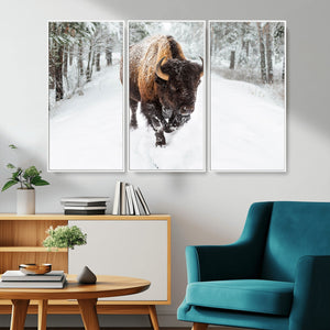 Bison Wall Art Canvas Print For Farmhouse, Animal Canvas