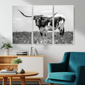 Texas Black White Highland Longhorn Cow Wall Art Canvas