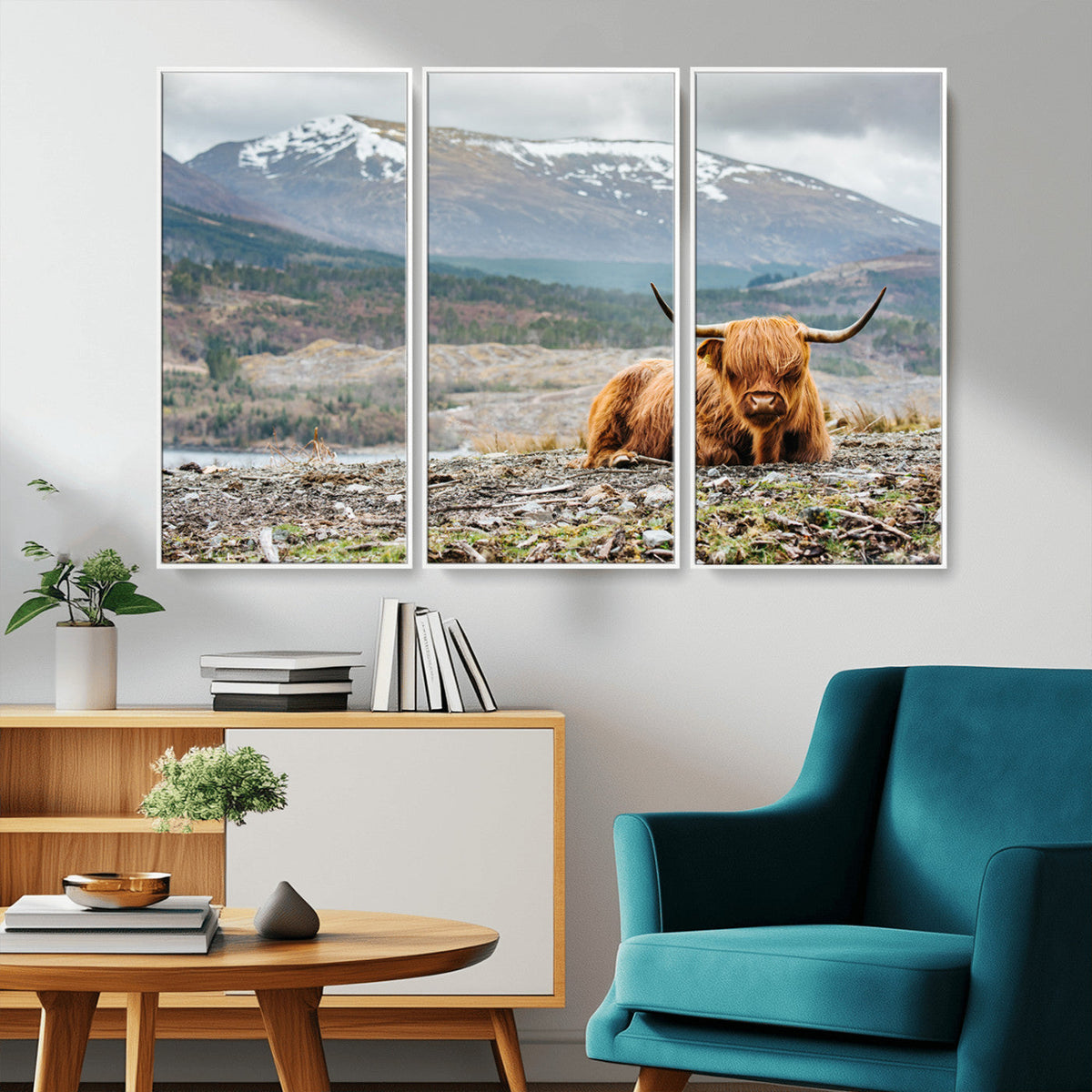 Highland Cow Horn Farm Wall Art Canvas Print