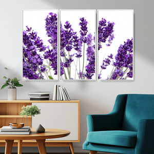 Lavender Flower Wall Art Canvas Print