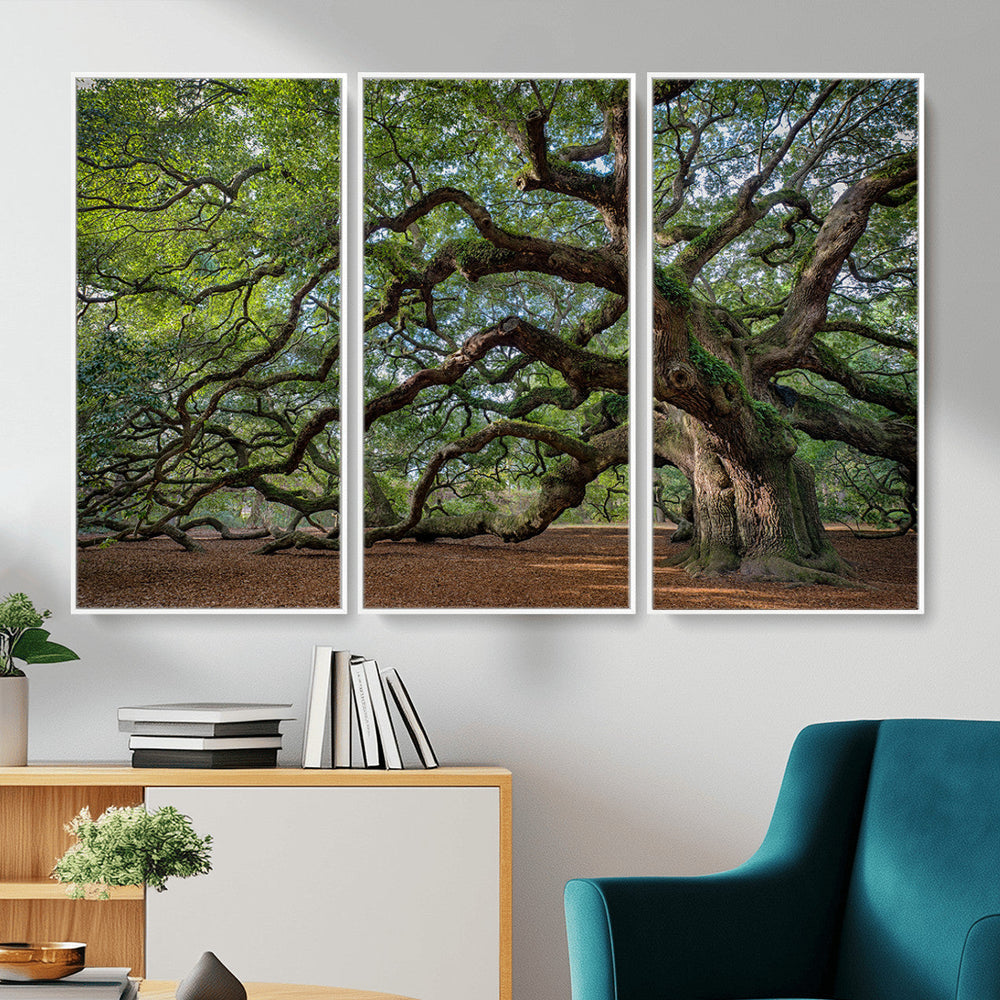 Historic Tree Wall Art – Framed Mossy Branch Canvas Artwork,
