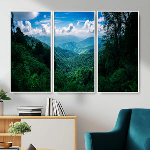 Tropical Jungle Wall Art Canvas Print – Framed Lush Valley
