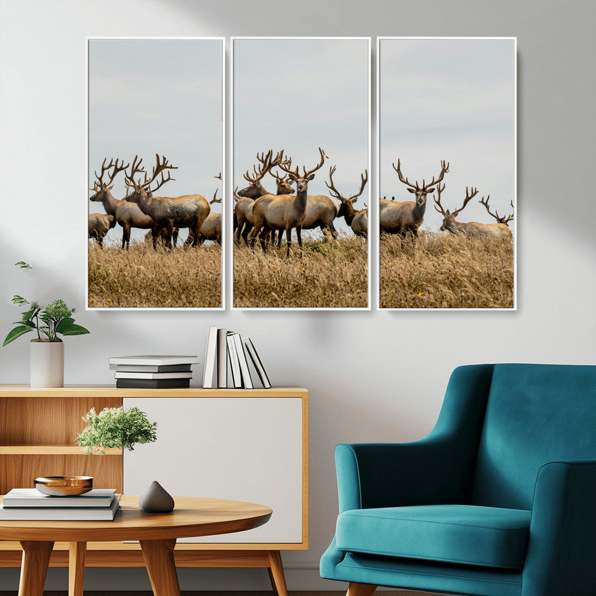 Elk Herd Wall Art Canvas Print – Framed Wildlife Photography