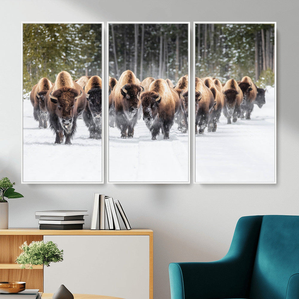 American Bison Herd Wall Art Canvas Print – Powerful Winter