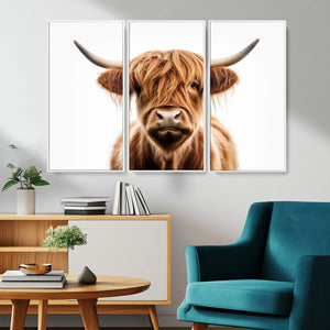 Scottish Highland Cow Canvas Print, Framed Highland Cow