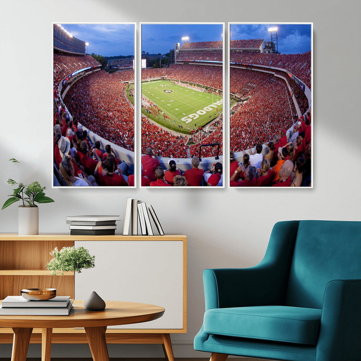 Dooley Stadium Wall Art, Sports Arena Canvas Print, Dooley