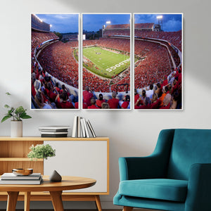 Dooley Stadium Wall Art, Sports Arena Canvas Print, Dooley