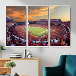 Dooley Stadium Wall Art, Sports Arena Canvas Print, Dooley