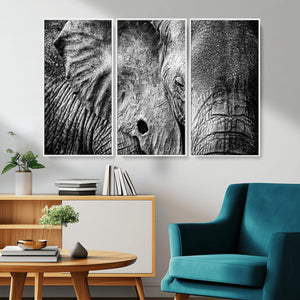 Wild Old Elephant Wall Art Canvas Print