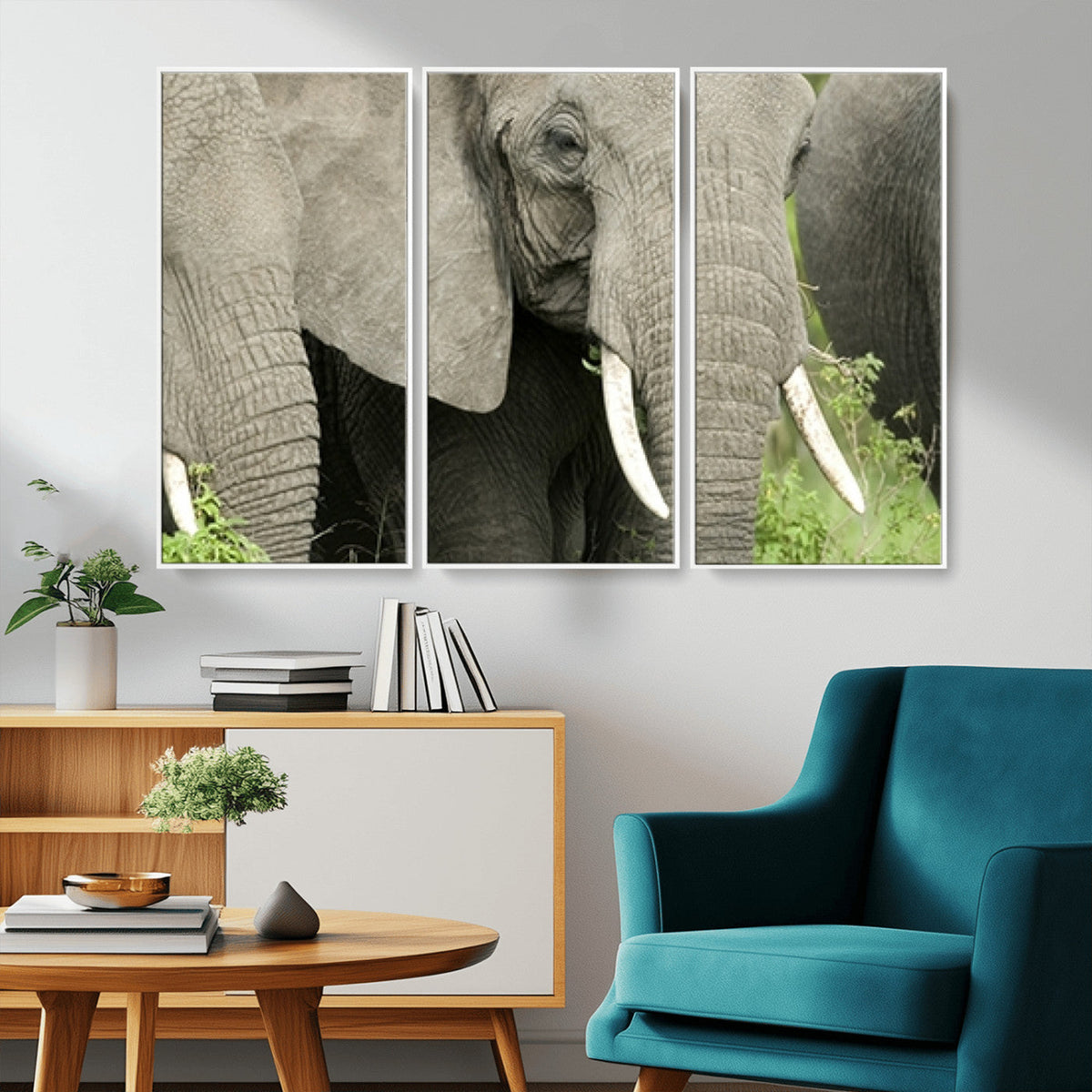Wild Elephant Wall Art Canvas Print
