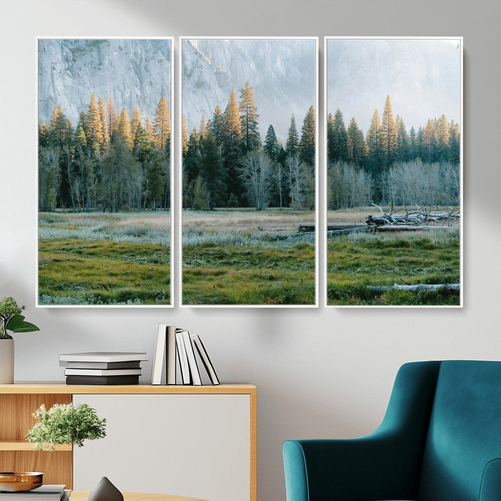Forest Meadow Wall Art Canvas Print, Pine Tree Landscape