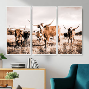 Texas Longhorn Cattle Wall Art Canvas Print, Sepia Western
