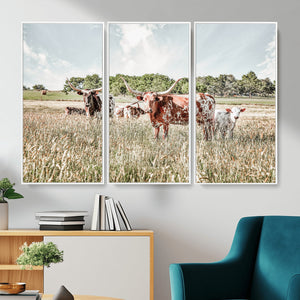 Texas Longhorn Cattle Wall Art Canvas Print, Rustic Ranch