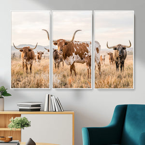 Texas Longhorn Canvas Wall Art, Rustic Farm Animal Photography Print, Farmhouse Country Decor, Western Ranch Art