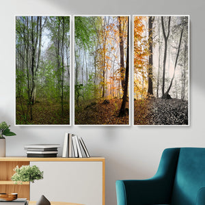 Four Seasons Wall Art Forest Canvas Print – Triptych