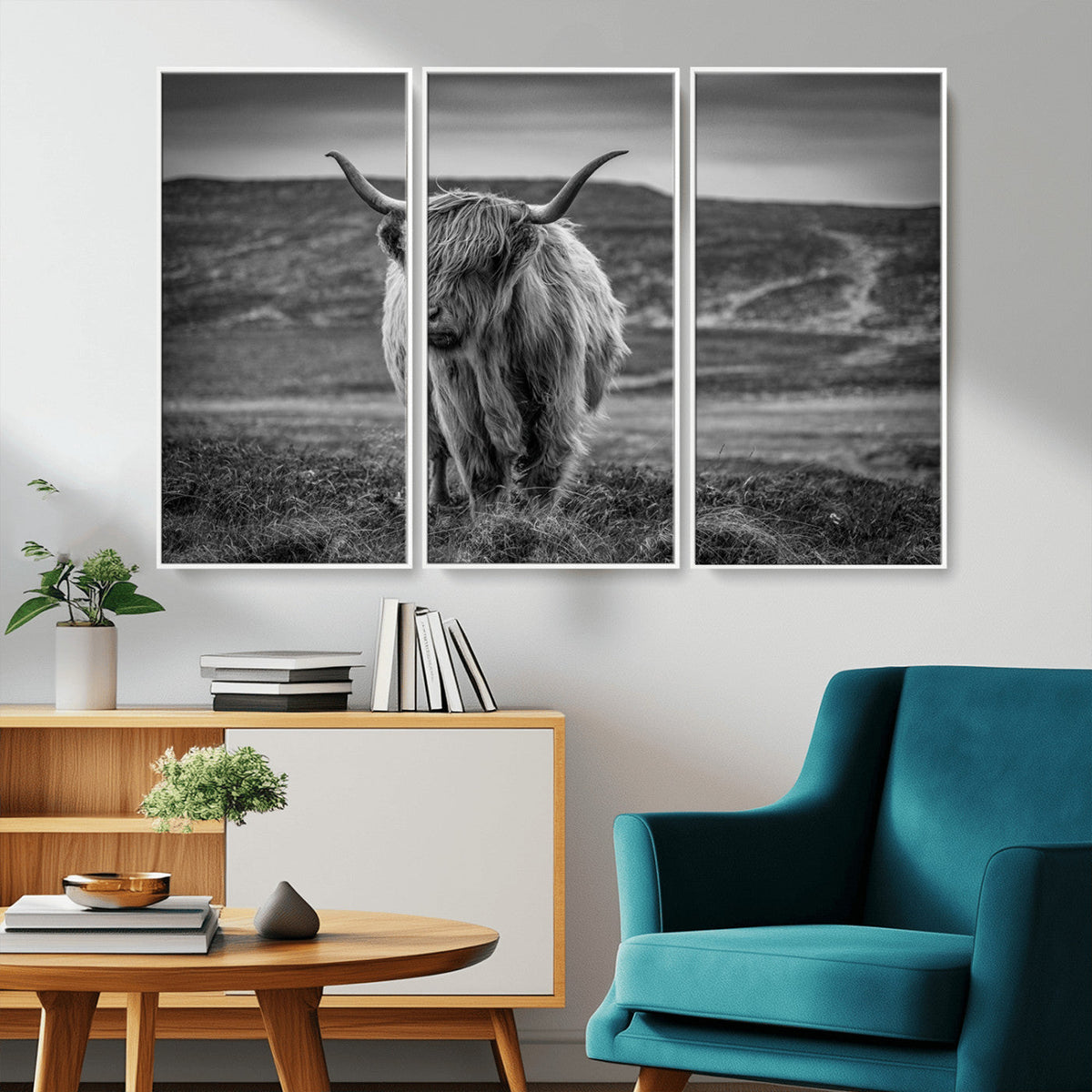 Fluffy Cattle Wall Art Print, Highland Cow Canvas, Framed