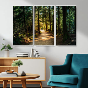 Sunlit Forest Pathway Canvas Print | 3 Panel Large Nature