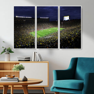 Michigan Wolverines Football Canvas Wall Decor, Football