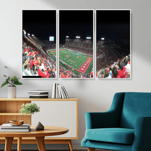 Houston Cougars Football Team Print - Houston TDECU Stadium