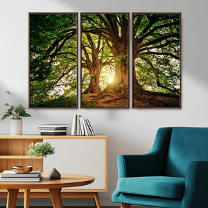 Majestic Ancient Tree Wall Art, NatureCanvas Print, Woodland