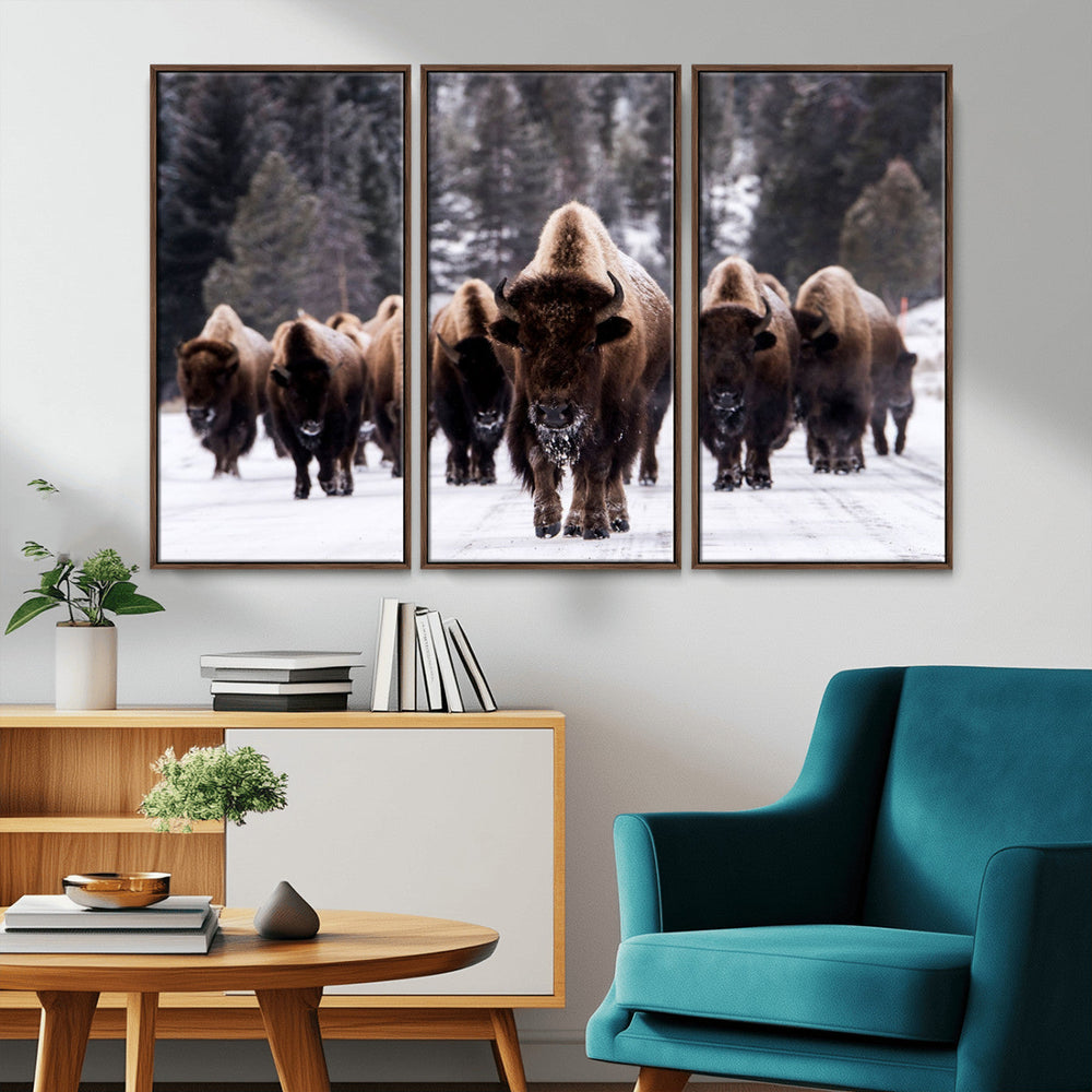 Bison Wall Art Canvas Print- Bison Herd Canvas Wall Art –