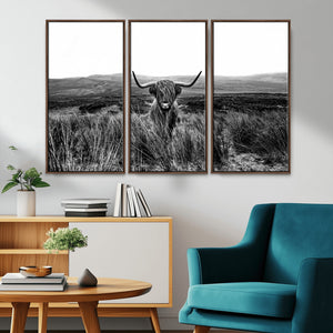 Black and White Highland Cow Canvas Wall Art, Longhorn