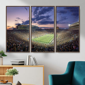 Notre Dame Fighting Irish Football Team Print - Notre Dame