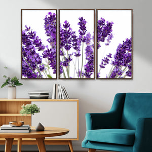 Lavender Flower Wall Art Canvas Print