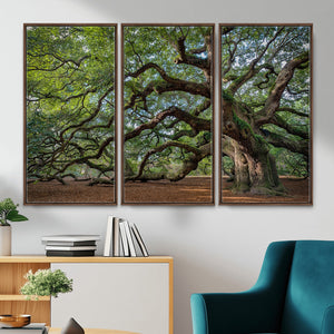 Historic Tree Wall Art – Framed Mossy Branch Canvas Artwork,