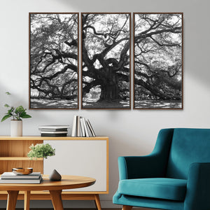 Ancient Oak Wall Art Canvas Print, Majestic Twisted Branches