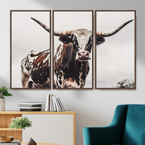 Texas Longhorn Wall Art Canvas Print – Framed Spotted Bull