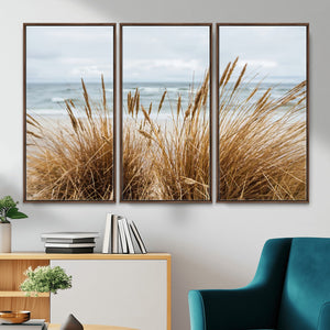Beach Grass Wall Art Canvas Print – Framed Coastal Dunes Art