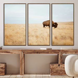 Buffalo Wall Art Canvas Print – Framed Western Wildlife