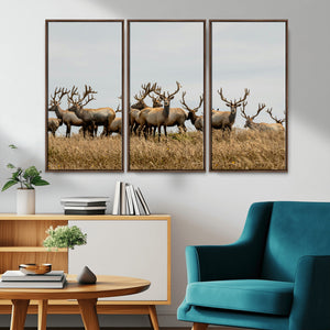 Elk Herd Wall Art Canvas Print – Framed Wildlife Photography