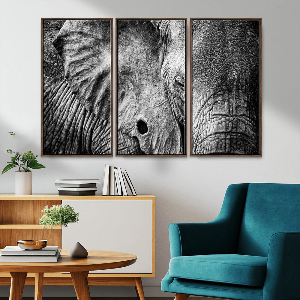 Wild Old Elephant Wall Art Canvas Print