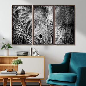 Wild Old Elephant Wall Art Canvas Print