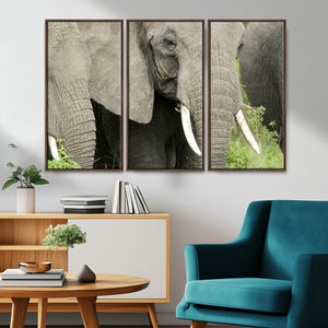 Wild Elephant Wall Art Canvas Print