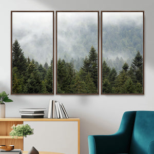 Misty Mountain Forest Wall Art Canvas Print